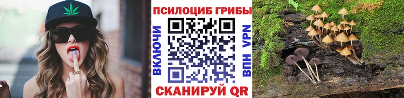 Галлюциногенные грибы ЛСД Купить где Балабаново