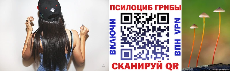 Псилоцибиновые грибы GOLDEN TEACHER Балабаново